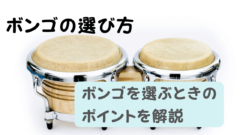 ボンゴはこんな楽器～楽器の特徴、演奏方法、ボンゴが活躍する曲をご